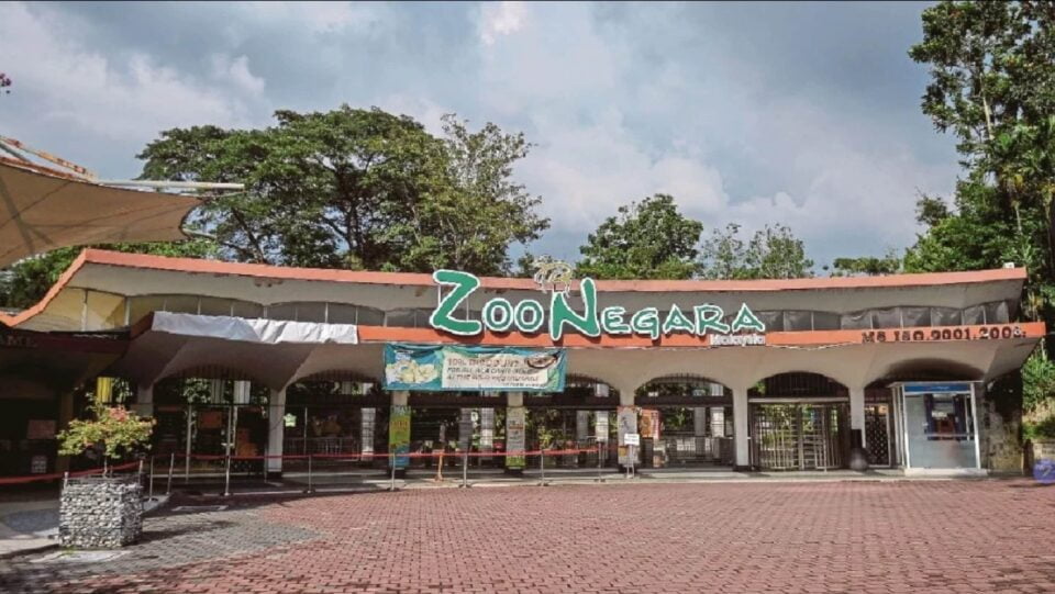 PKP2.0: Zoo Negara hanya mampu bertahan hingga April ini saja