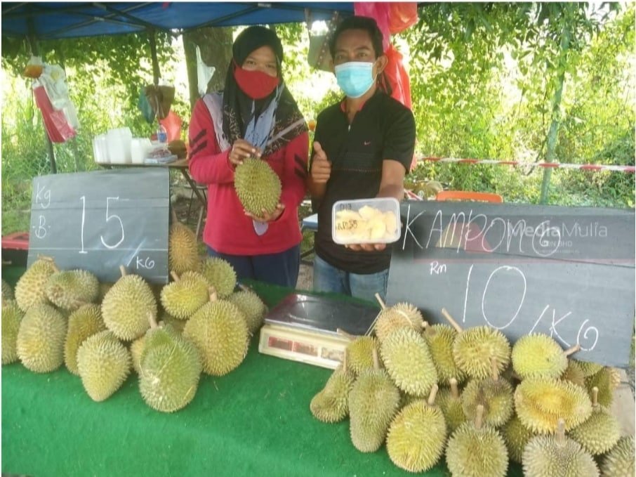 Buang 1 tan durian gara-gara PKPD