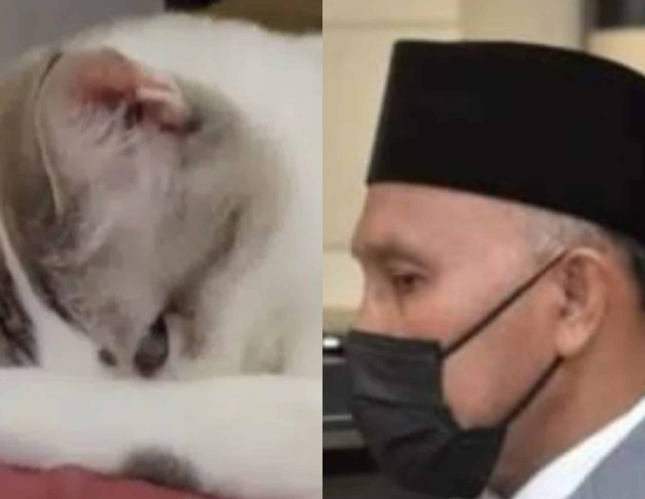 Meniru gaya menteri agama, aksi jelingan kucing ini undang tawa di media sosial