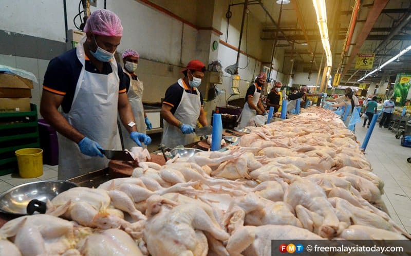 Sumber dedahkan JAKIM antara punca kenaikan harga ayam