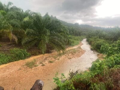 Nyahwarta 3,178 ekar Hutan Simpan Gunong Besout, Zambry perlu 