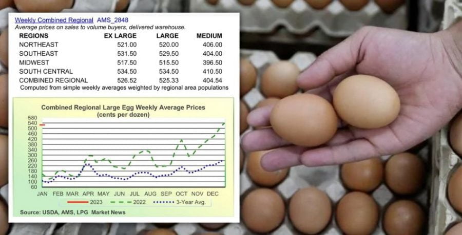 Harga telur ayam di AS meningkat 4 kali ganda, Malaysia tak seteruk itu
