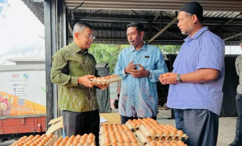 Bangga canang telur daripada FAMA ke Terengganu bukan telur import, sekali tampil Menteri MAFS dedah kebenarannya