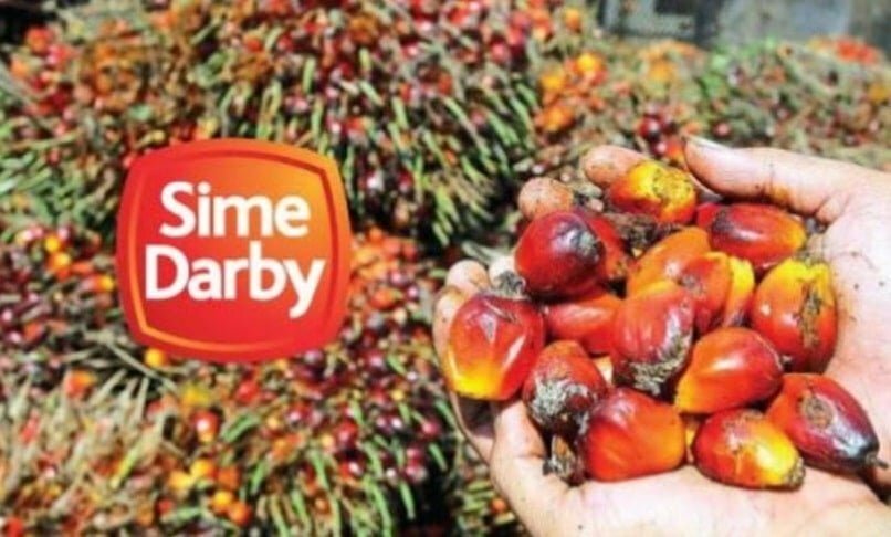 Selepas 2 kerajaan gagal, minyak sawit Sime Darby akhirnya dibenar masuk ke pasaran AS semula