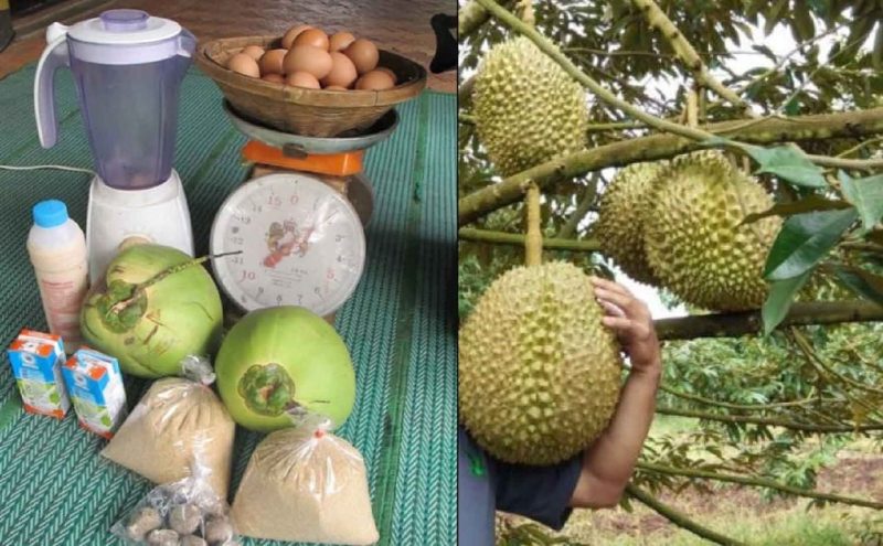Ramai pelik kenapa buah-buahan dari Thailand selalu ada tak kira musim, rupa-rupanya ini sebabnya