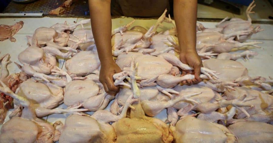 Menteri bagi jaminan harga siling ayam, telur kekal sehingga selepas Aidilfitri