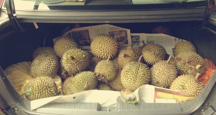 5 petua mudah nak hilangkan bau durian dalam kereta