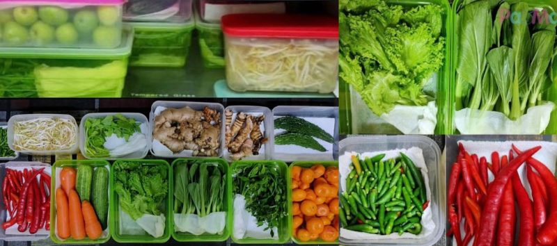 Cuma guna bekas makanan dan tisu, wanita kongsi cara mudah simpan sayur dan tip tahan lama dalam peti ais