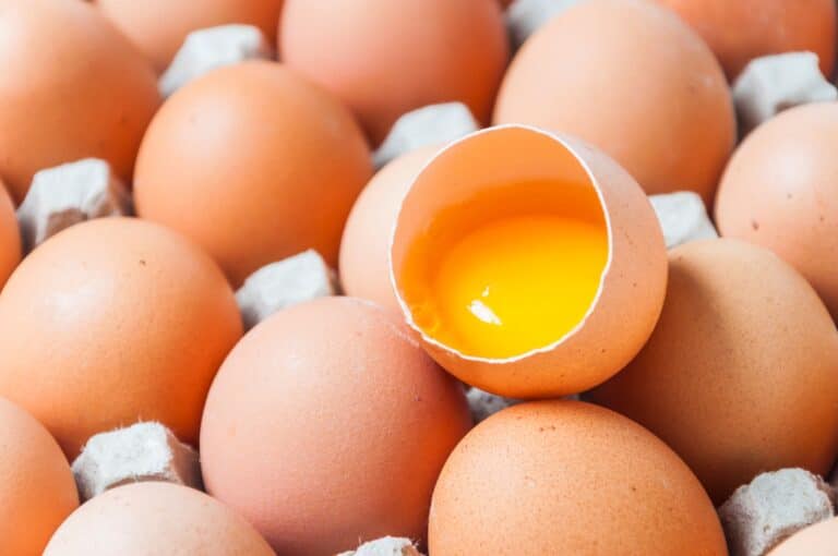 Pakar kongsi cara masak telur dengan betul tanpa hilangkan nutrisinya Pakar kongsi cara masak telur dengan betul tanpa hilangkan nutrisinya