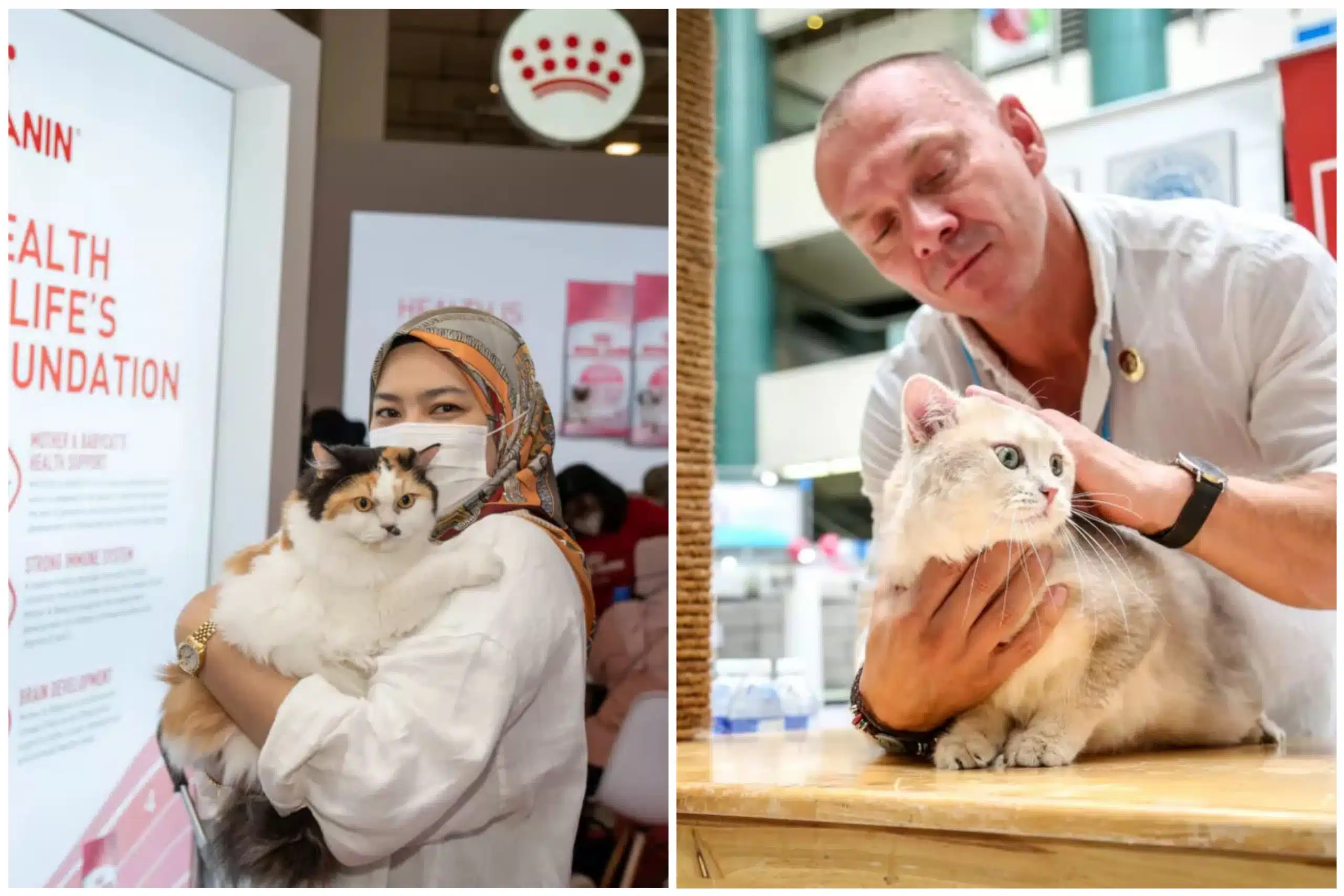 Ekspo kucing terbesar di Malaysia kembali lagi Ogos ini!