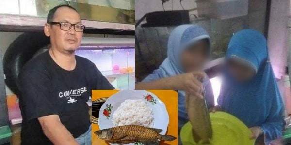 Bapa tergamam tengok anak gamak goreng ikan arowana spesis ‘super red short’ bernilai lebih RM4,000