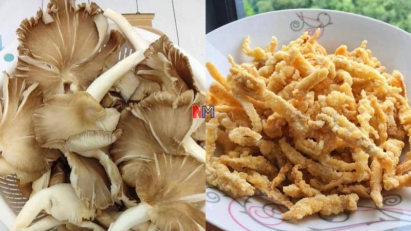 Tips buat cendawan goreng tepung sedap, rangup dan tak berminyak