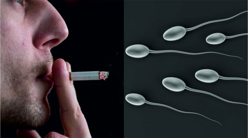 8 keburukan rokok terhadap kesuburan lelaki, pasangan susah nak hamil