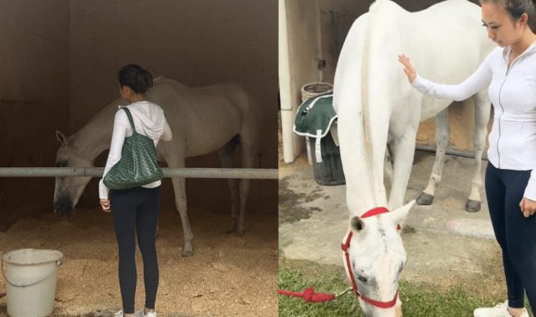 Intan Najuwa dapat hadiah kuda putih sempena birthday