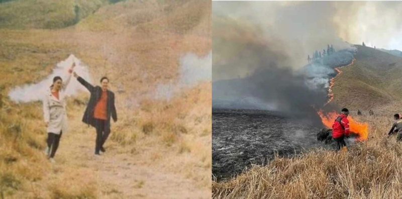 Gara-gara rakam gambar ‘pra-perkahwinan’ guna suar jadi punca 50 hektar gunung terbakar Gara-gara rakam gambar ‘pra-perkahwinan’ guna suar jadi punca 50 hektar gunung terbakar