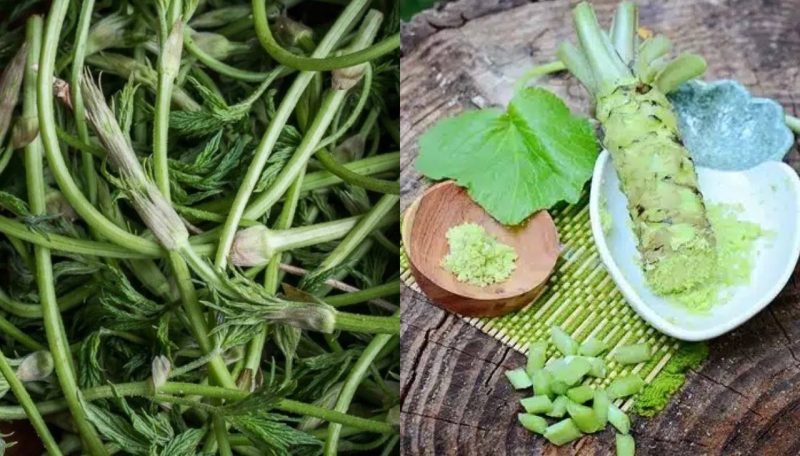 5 jenis sayur yang paling mahal di dunia yang ramai tak tahu, harga boleh cecah ribuan ringgit