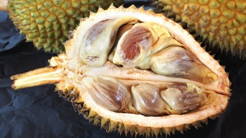 Durian kura-kura didakwa mampu kuatkan tenaga batin lelaki