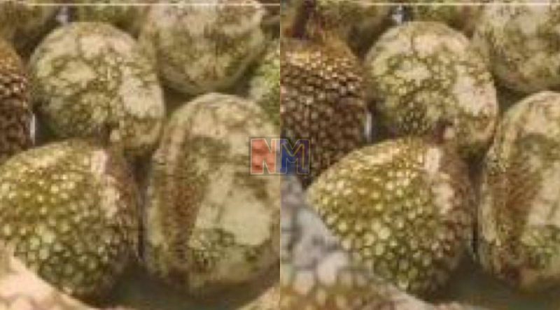 Tular video wanita terkejut terima durian tanpa duri di Indonesia