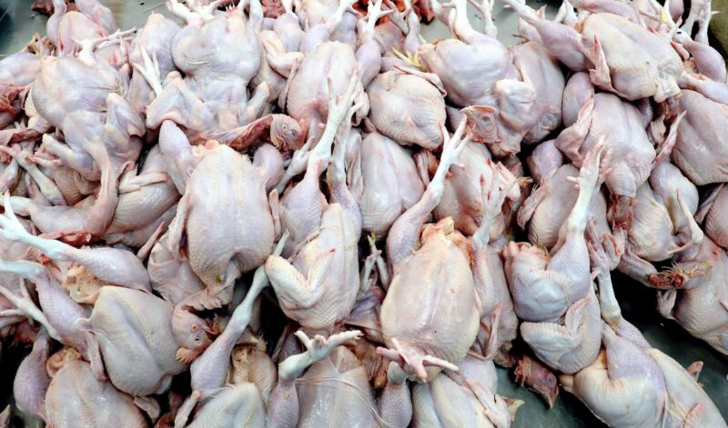 Harga ayam murah seluruh negara menjelang Aidilfitri, ramai teruja tunjuk resit