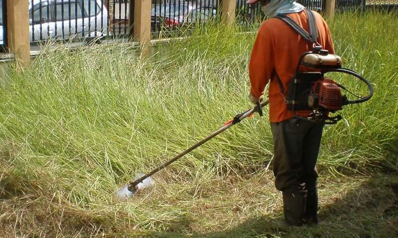 Ramai tak sedar gaji pemotong rumput di Malaysia boleh cecah RM6,000 sebulan, yang penting kena rajin