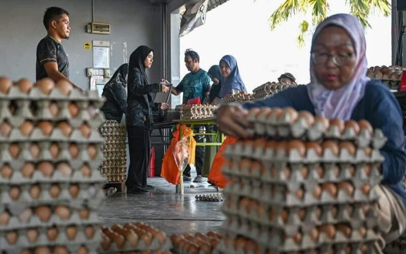 Telur kena ‘serbu’ lepas kerajaan umum harga diturunkan 3 sen