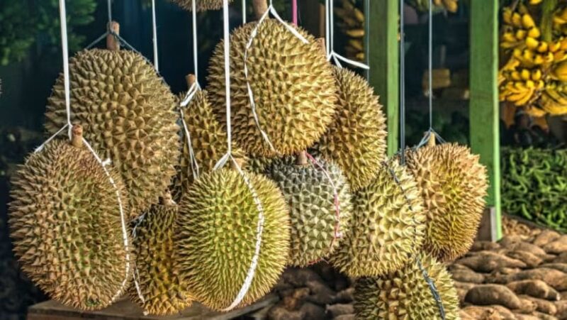 Ramai tak tahu ada 6 makanan yang tak boleh dimakan bersama durian