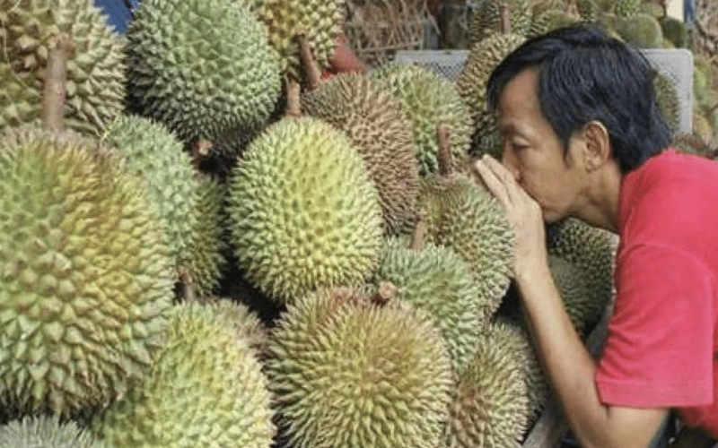 “Pilih yang ringan & berbentuk bulat” – Ini tips nak beli durian supaya tak tertipu