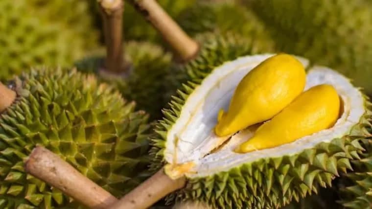 5 tips pilih durian berisi lemak manis yang ramai tak tahu